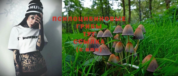 амф Балахна